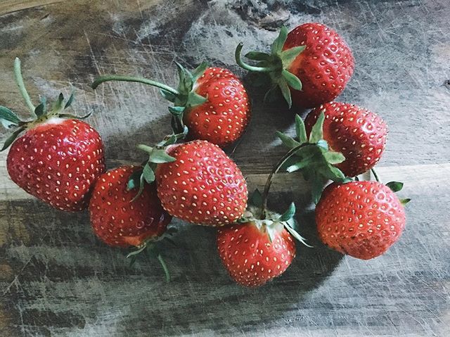 Organic Honest Food Farm Cawston