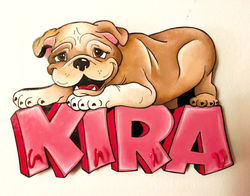 Personalized Pet Key Holder