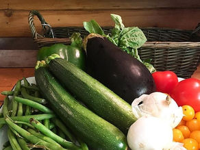 Flat Bread with Assorted Vegetable Toppings