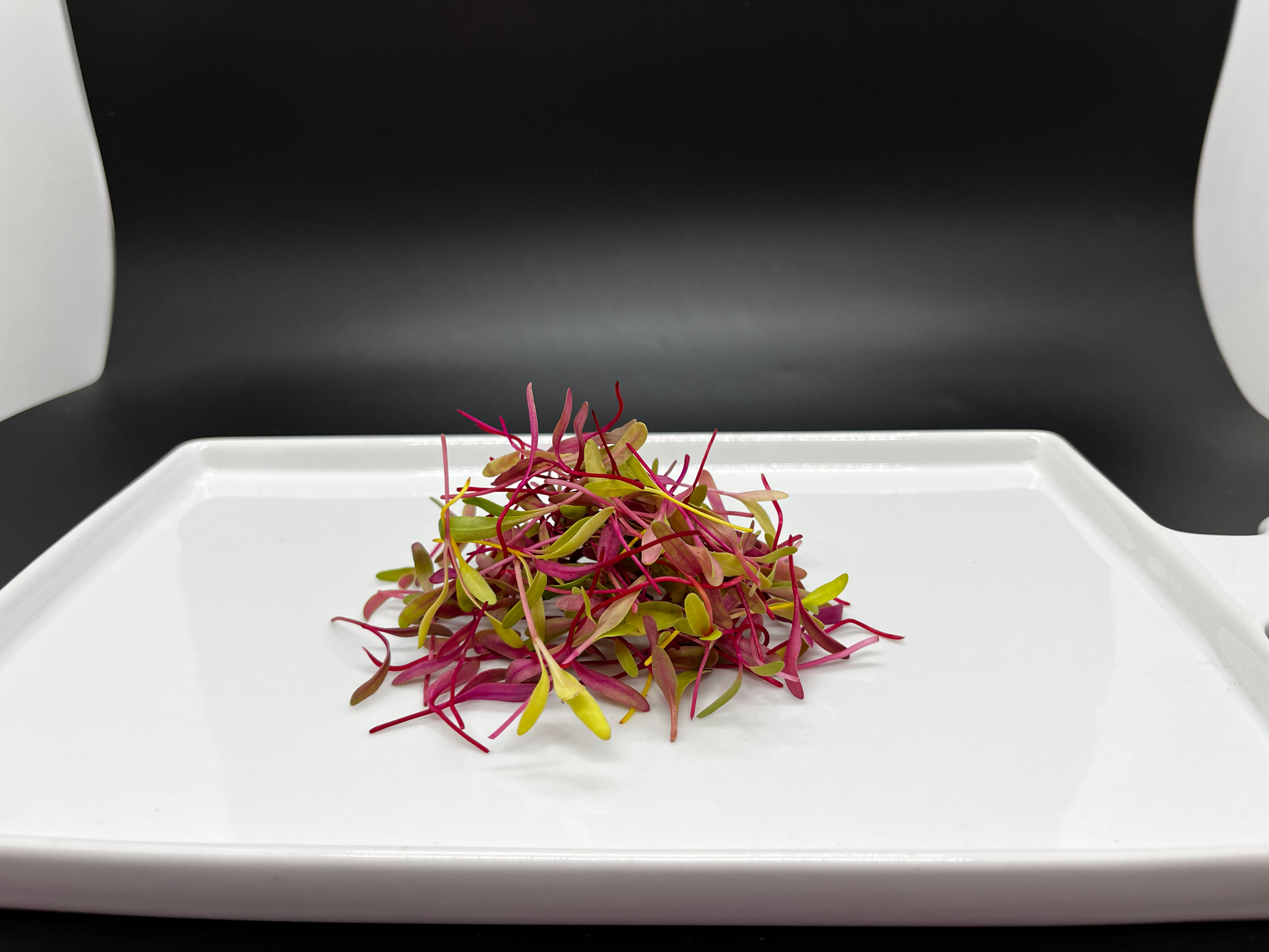 Ānuenue Swiss Microgreens