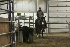 eZy Watermark_18-02-2022_12-26-51PM.jpg