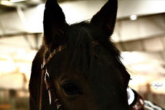 eZy Watermark_18-02-2022_12-13-10PM.jpg