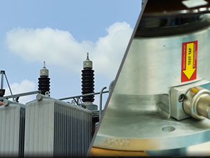 Bushing Health Assessment Techniques