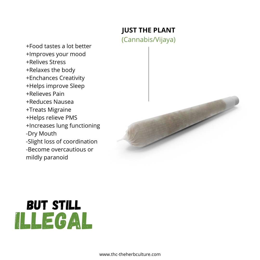 Illustration showing benefits of cannabis