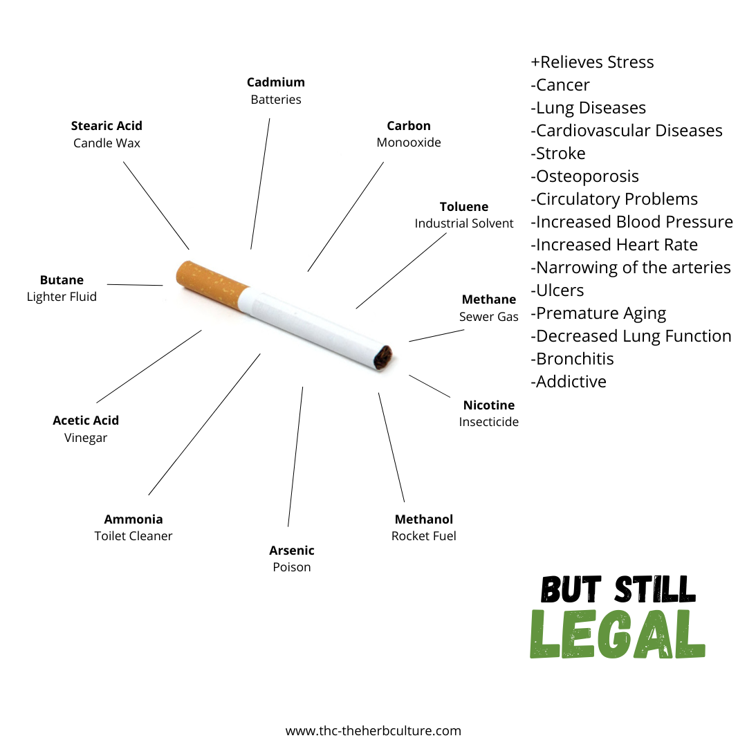 Illustration showing harmful effects of smoking cigarettes