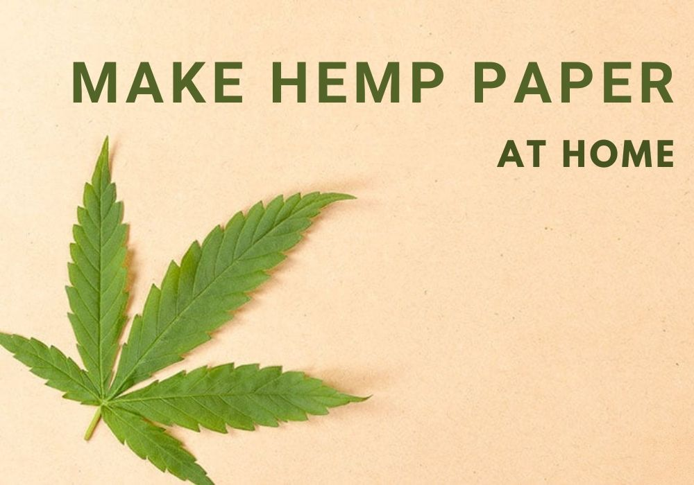 hemp leaf on pink background