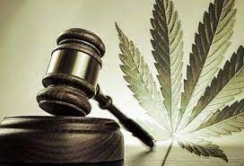 Cannabis leaf and Judge Hammer