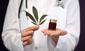 Doctor holding cannabis leaf and Vijaya leaf extract