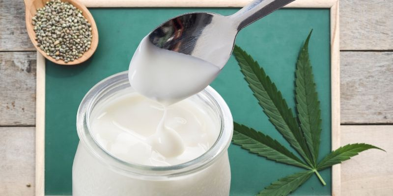 Hemp yogurt in a Glass, with a spoon full of hemp hearts, and hemp leaf