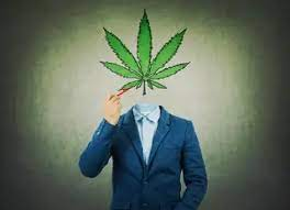A man in blue suit with a cannabis leaf