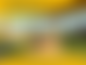 Home Office frente ao mar: desfrute dessa vantagem aqui no Residencial Corsário