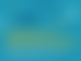 Chegou a época da Tainha!