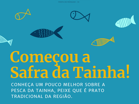Chegou a época da Tainha!