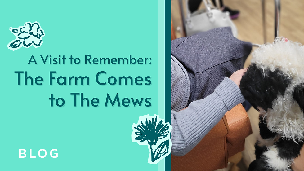 A Visit to Remember: The Farm Comes to The Mews