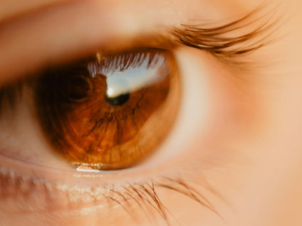 Close-up of a reflective brown eye, with detailed eyelashes and warm tones. The mood is serene and contemplative.