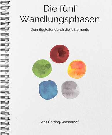 book_cover (1).png