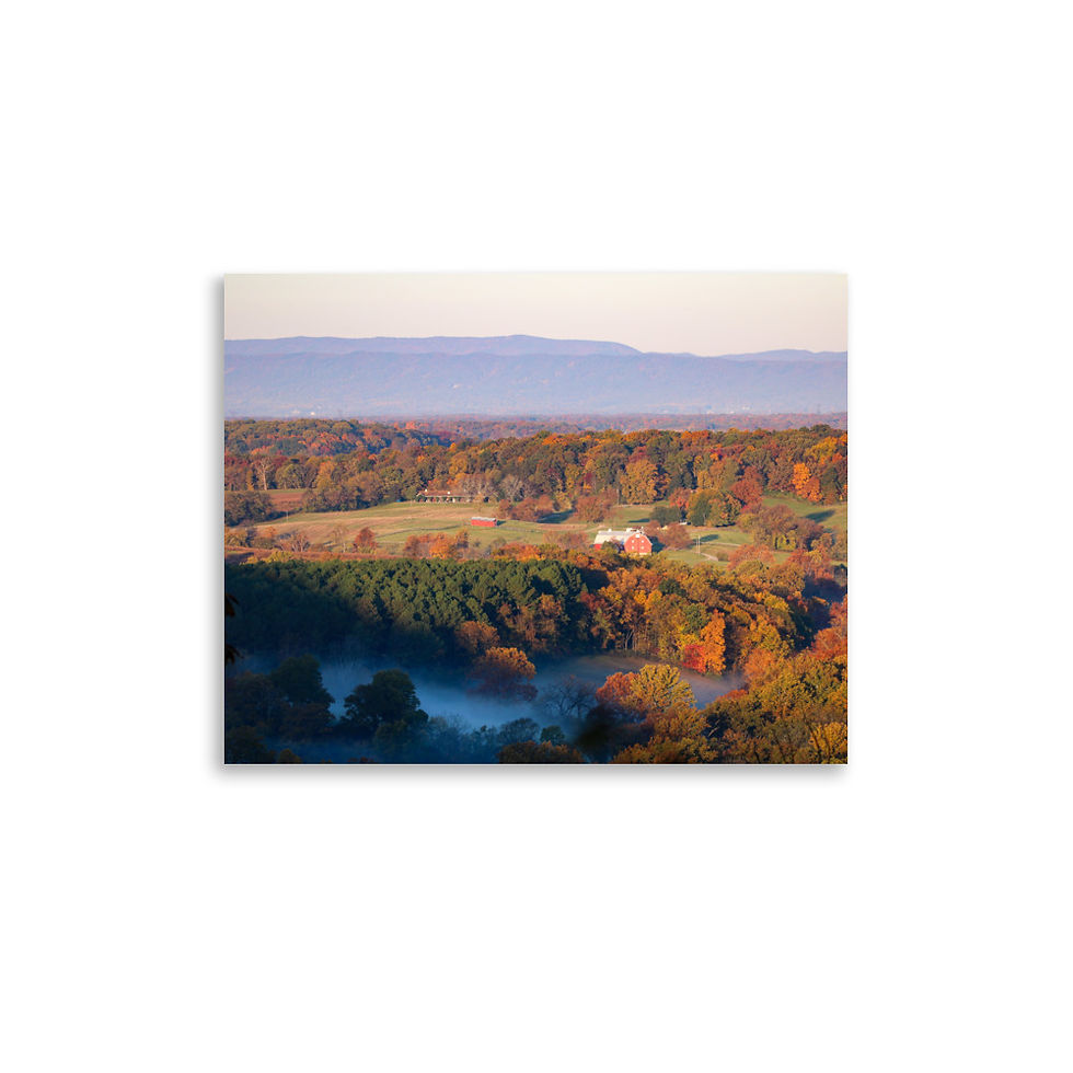 Thumbnail: Autumn in Shenandoah Farms