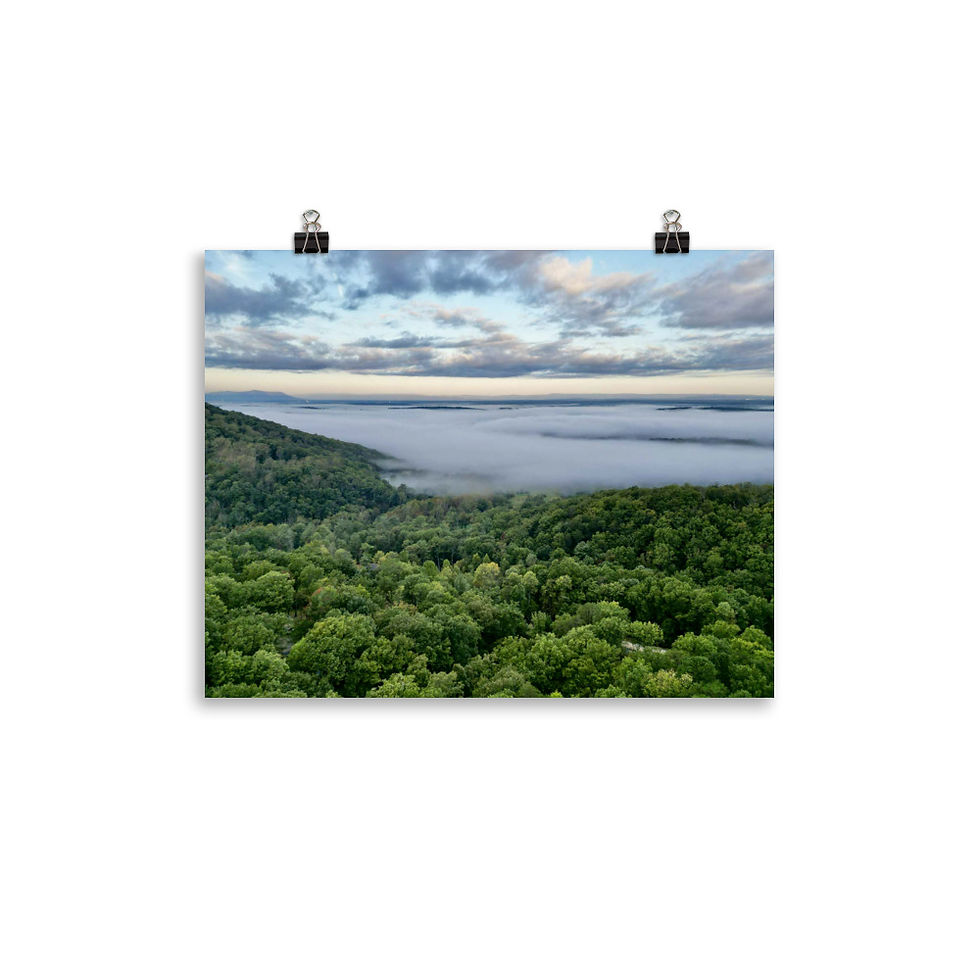 Thumbnail: Fog on the Shenandoah
