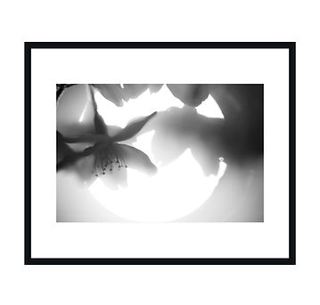 NIGHT FOREST 夜の森 写真集 Zine