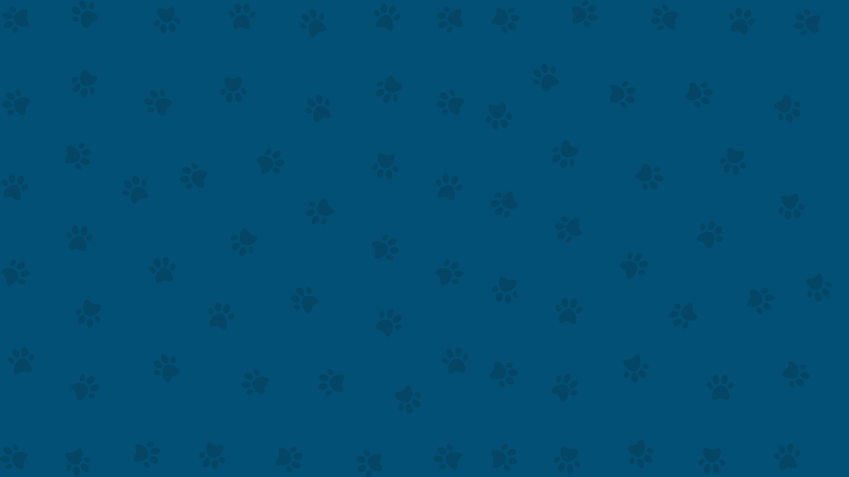 dark background.png