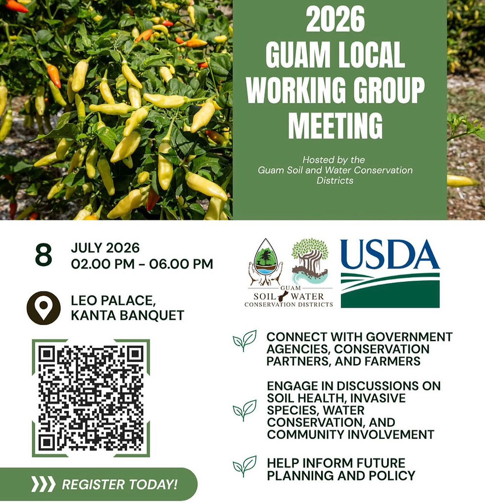 2026 Guam Local Working Group Meeting