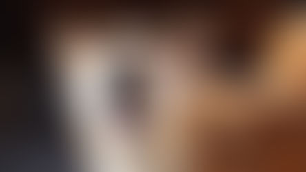 犬が吠えるには理由がある【遠吠え】