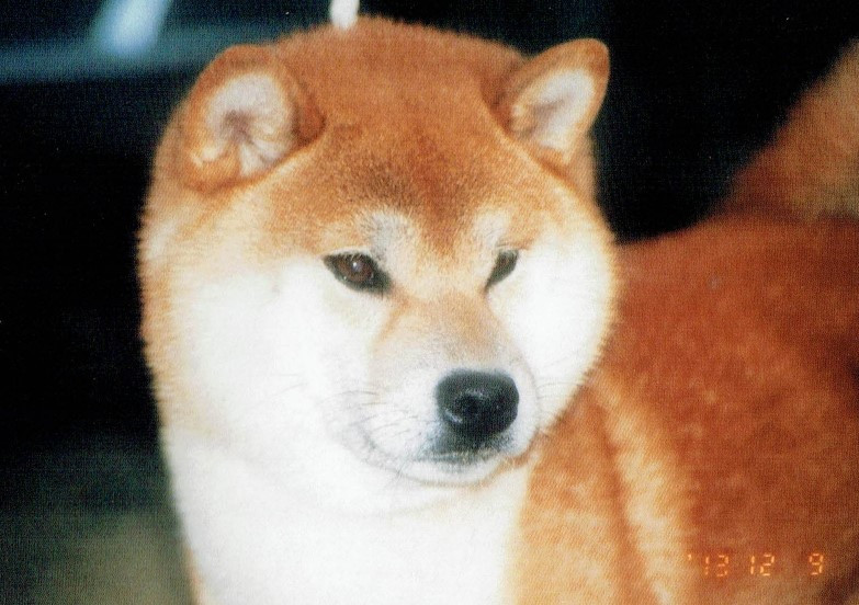 Kadal Kanni Meaning In Tamil Ulavu kanni 009 tamil dubbed full movie 2015 zero zero nain wan kadal kanni meaning in tamil