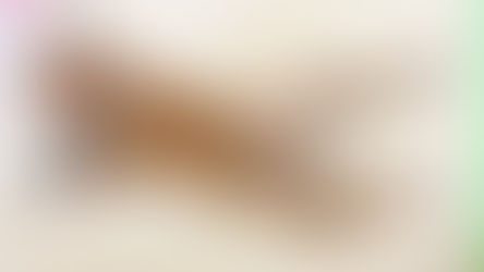 愛犬にリーダーシップを示すための5つの重要ポイント