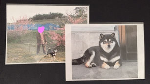 お手紙頂戴しました！その23