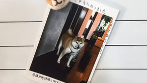 お手紙頂戴しました！その２