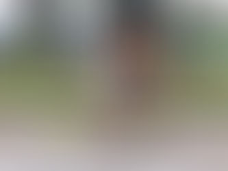 106th exhibition of the Santama branch held Dog Show