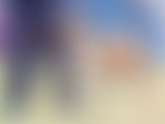 The Shiba Inu in the Dog Show