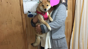 遊びに来てくれました！その２