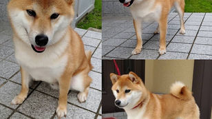 お手紙頂戴しました！その27