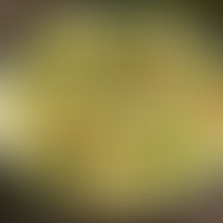 Shrimp Orzo Pasta Salad