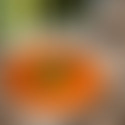 Roasted Tomato & White Bean Soup