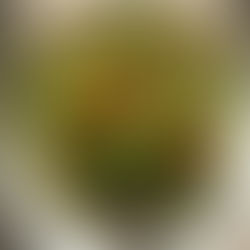 Vegan Lemon Pistachio & Arugula Pesto