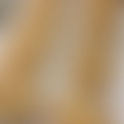 Chloe’s Chocolate Chip Cookies