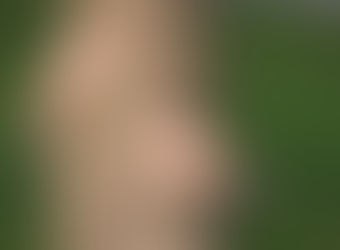 Certificazione LEED® per porte interne in legno GREEN