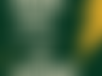 💚 Thankful for Our Volunteers, Sponsors & Families 💚