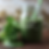 Thumbnail: Smoothies for Health