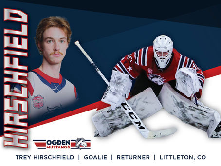 Hirsch in between the pipes!