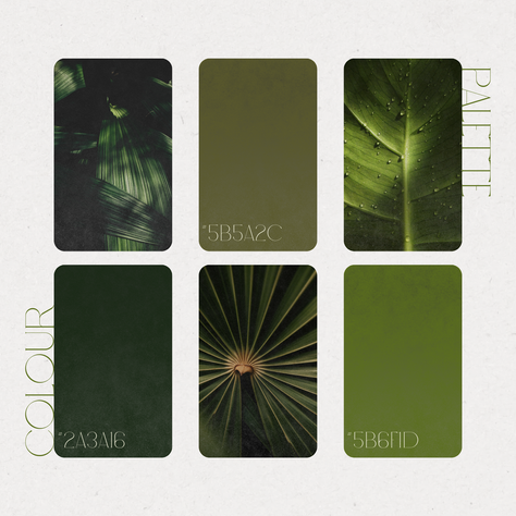 Green color palette with tropical leaf patterns and hex codes #2A3A16, #5B5A2C, #5B6F1D. Text "COLOUR PALETTE" visible.