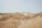 Paysage de dunes de sables et herbes sauvages
