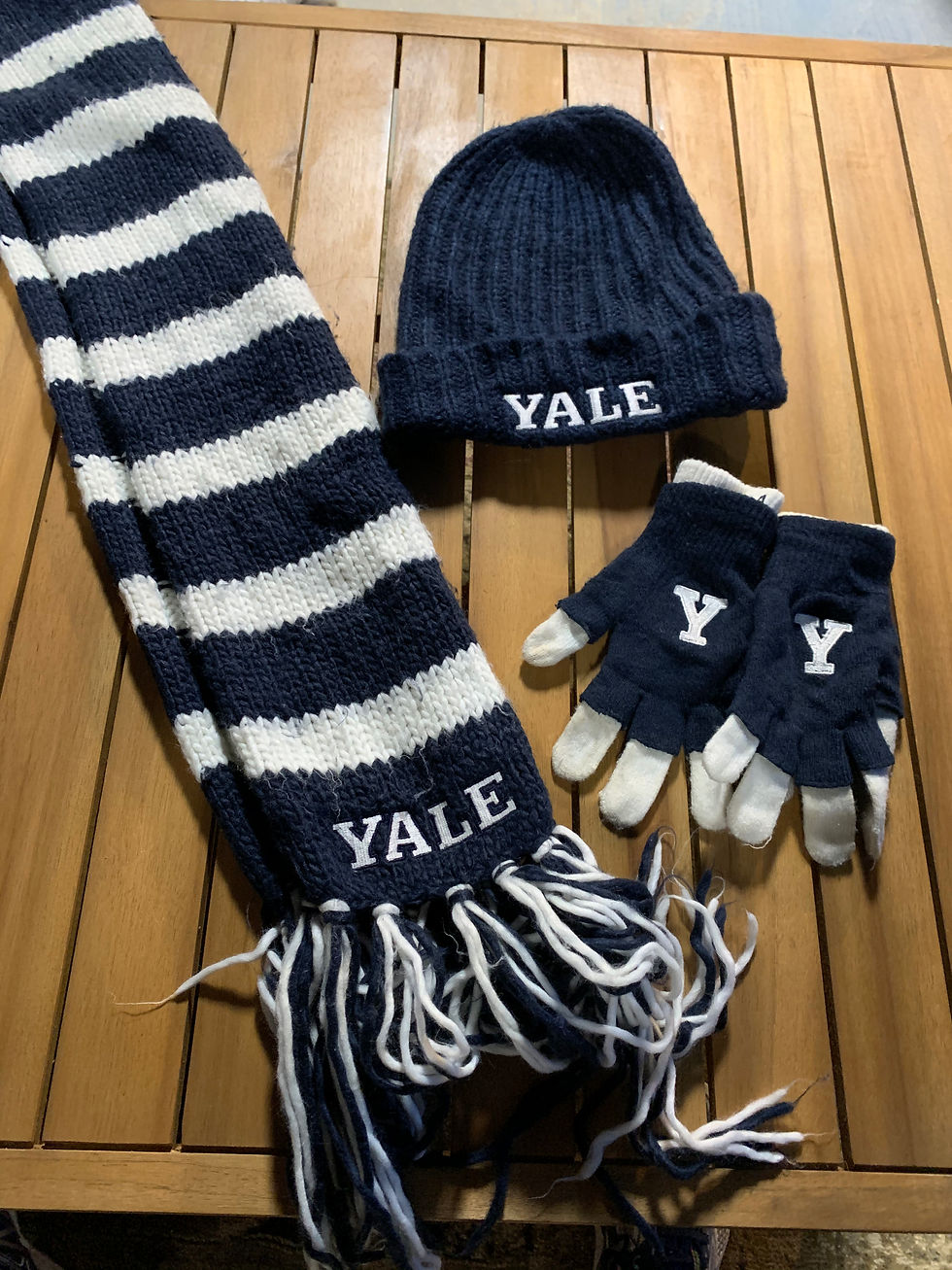 Yale University Winter Accessories (Hat & Gloves Set)