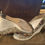 Thumbnail: Gucci Wedge Shoes Size 8