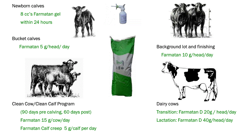 Feeding Strategy.GIF