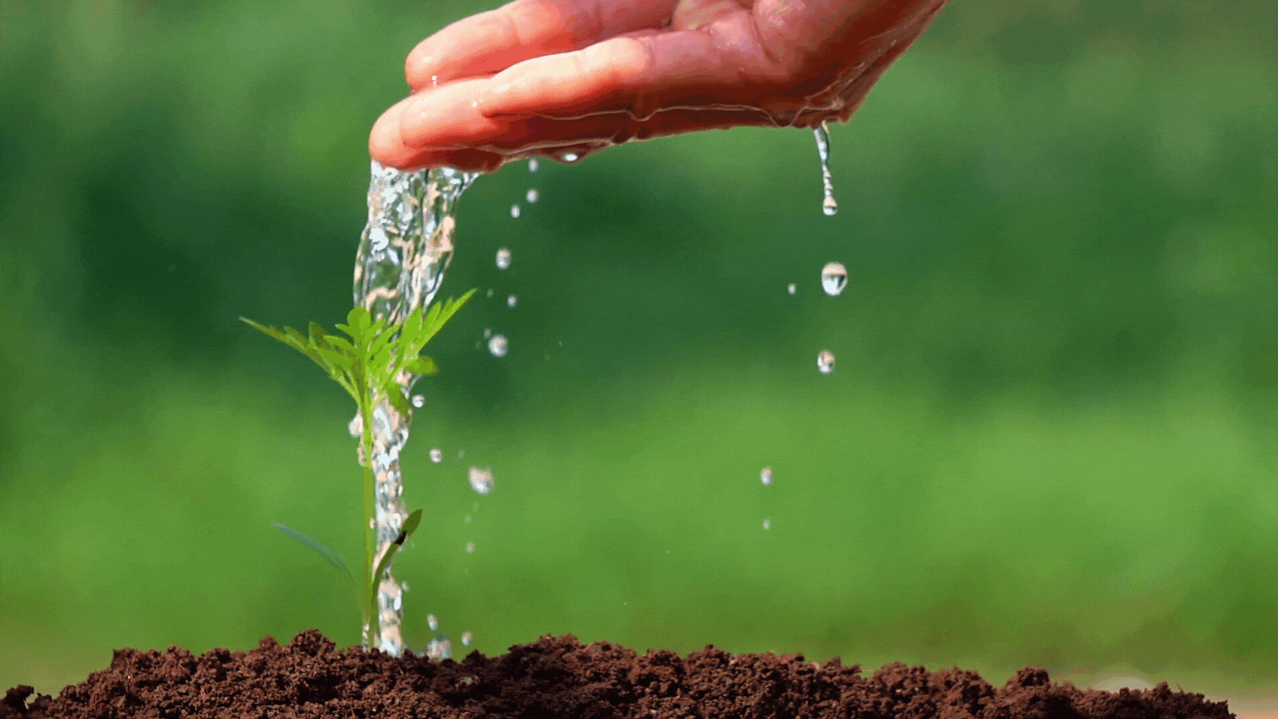 Happy Earth Day  (2).gif