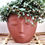 Miniature : Cache pot Madam Stoltz