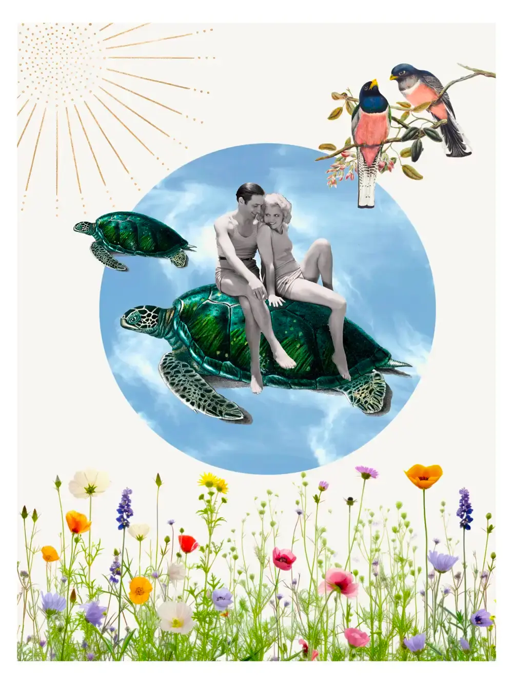 Affiche vintage tortue